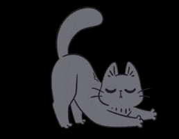 Dancingcat GIF