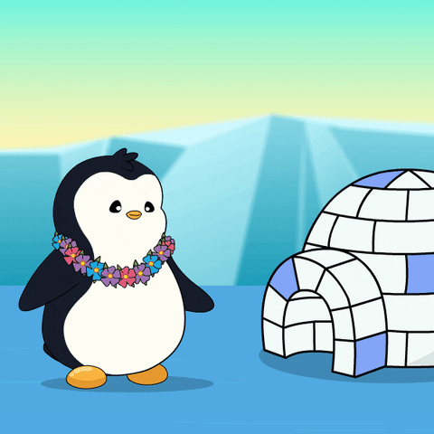 Penguin Antarctica GIF by Pudgy Penguins