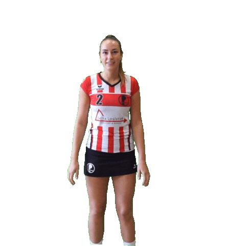 Korfbal Roos Sticker by Fortuna/Delta Logistiek