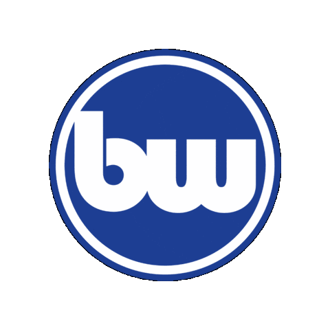 Bmw Sticker by BimmerWorld