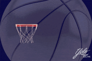 Basketball Bounce GIF by Yolo Rum