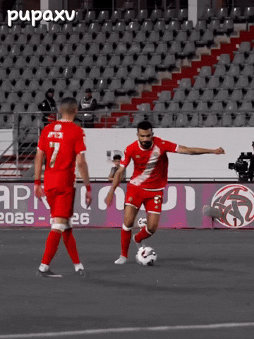 Morocco Celebrating GIF