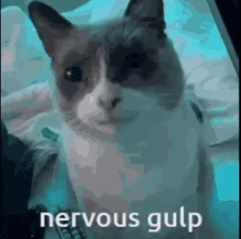 Funny Cat GIF
