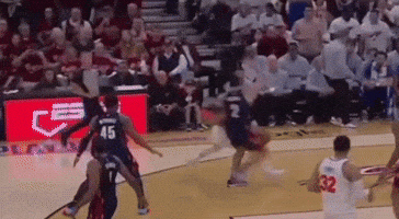 Basketball Nba GIF by EsZ  Giphy World