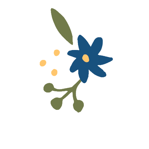 Amissima Oficial Sticker