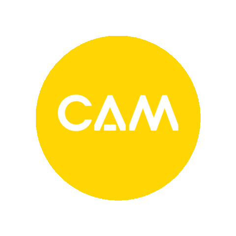 CAM Raleigh Sticker