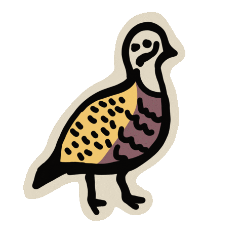 Bird Quail Sticker