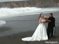 Wedding-pictures GIFs - Get the best GIF on GIPHY