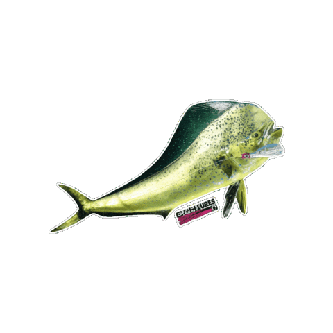 Mahi Mahi Fish Sticker by AFW Fishing Brands