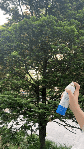 lifeholic GIF