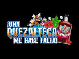 Party Kuto GIF by Quezalteca Oficial