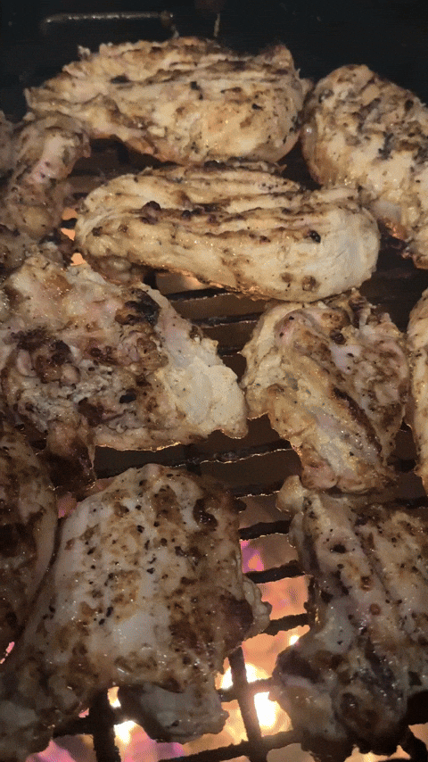 GIF by Pit Barrel Cooker
