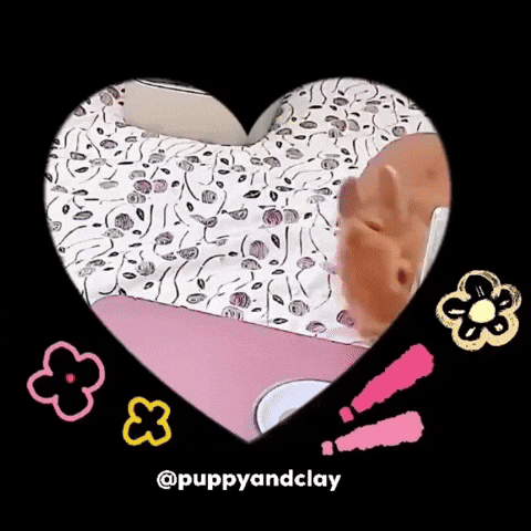 Puppyandclay GIF