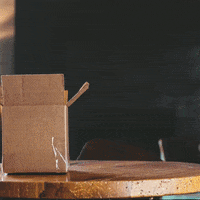 200.gif?cid=fc005b083b1d29c44f12ea511ebf85e583856abbee139da6&rid=200.gif&ct=g