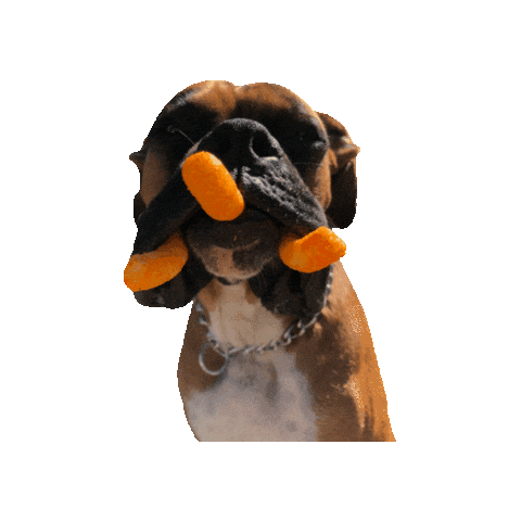 Dog Sticker