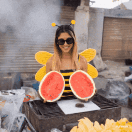 Watermelon Ro GIF