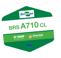 Arroz Embrapa Sticker by BASF Soluções para a Agricultura