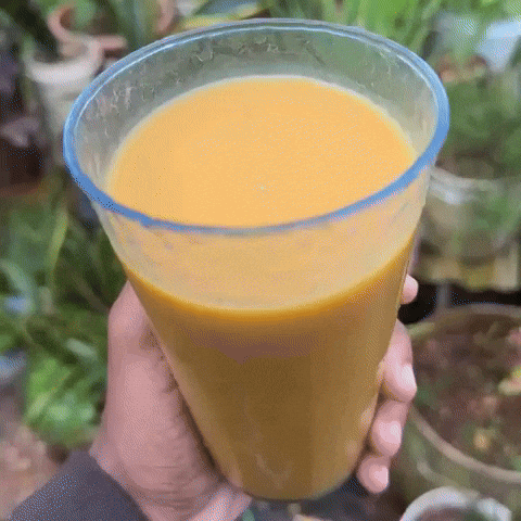 Fruit Juice GIF