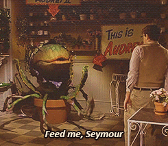 Seymour meme gif