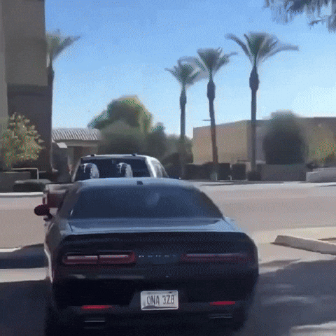 Reverse Playboi Carti GIF