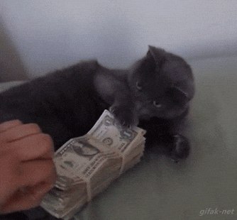 giphy.gif?cid=19f5b51a62f0b832633286beecbfa3916db80087b5301de9&rid=giphy.gif
