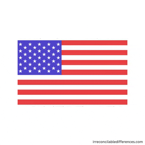 Frustrated Vote GIF by Irreconcilable Differences