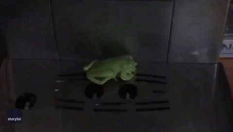 3d Gif Maker Frog Sticker - 3d Gif Maker Frog Funny - Discover & Share GIFs