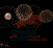 Dressage Jumping GIF by Mondial du Lion