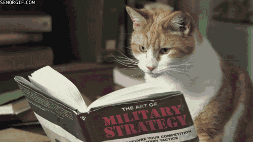 cat book reading read GIF