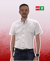 Top Thumps Up GIF by SPÖ Steiermark
