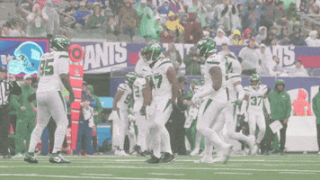 Dance Nfl GIF by New York Jets