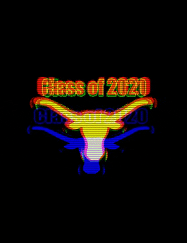 Texas BBA Program GIF