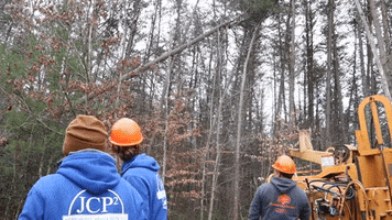 Tree Removal Work Buddies GIF by JC Property Professionals