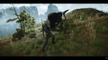 The Witcher Videogames GIF