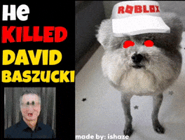 Video Games David GIF