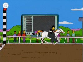 Happy The Simpsons GIF by World Horse Racing