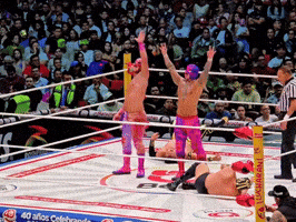 Lucha Libre Win GIF