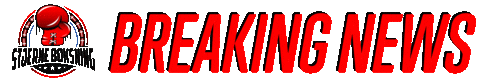 Stjerne Boksning Sticker