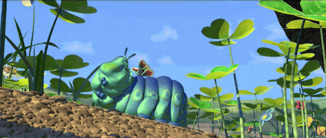 happy a bugs life GIF by Disney Pixar