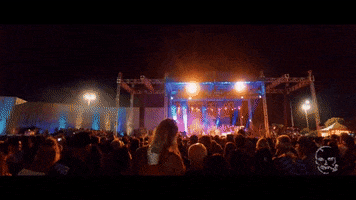 slightlystoopid crowd stage lighting slightly stoopid GIF