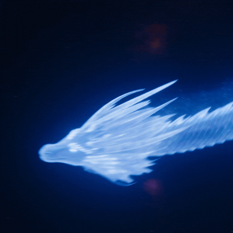 Blue Dragon GIF by windows101