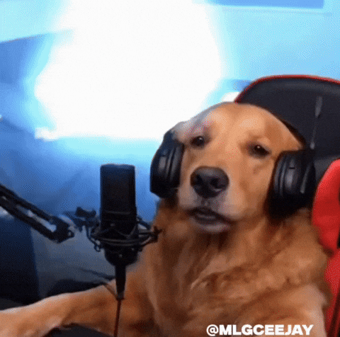 Dog Lighting GIF
