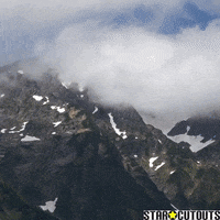 White House inadvertently texted top-secret Yemen war plans to