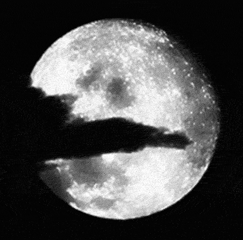 Black And White Moon GIF - Find & Share on GIPHY