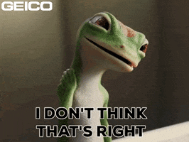 I Think Not No GIF by GEICO