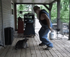 dance floor GIF
