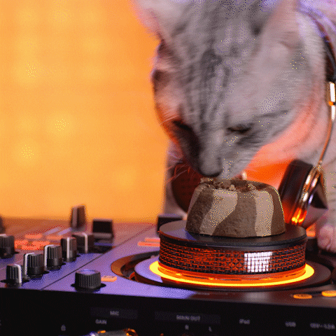 Cat Dj GIF by Meow Mix