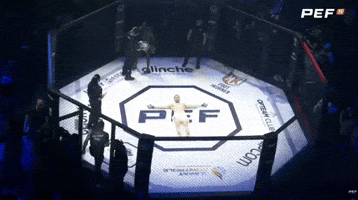 Mma Robin GIF by Old School Academy
