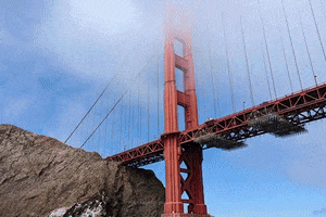 Photo GIF
