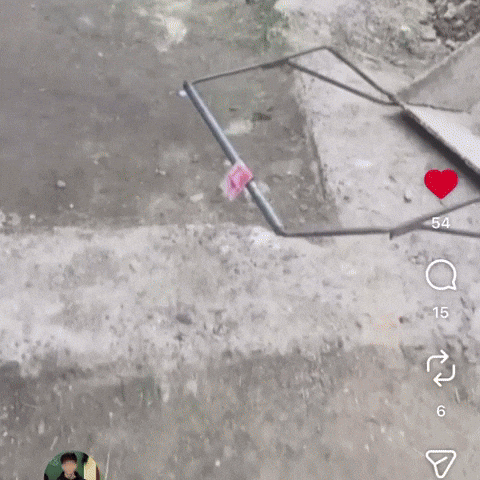 Qosimaka GIF